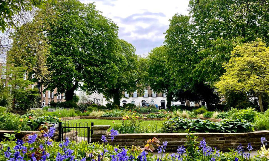 A leafy Islington garden square in bloom