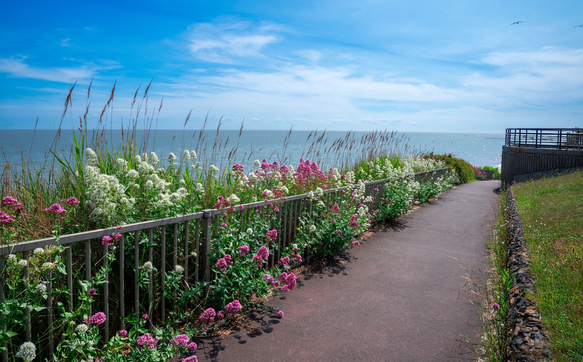 Flower-lined seafront path overlooking the sea at Clacton